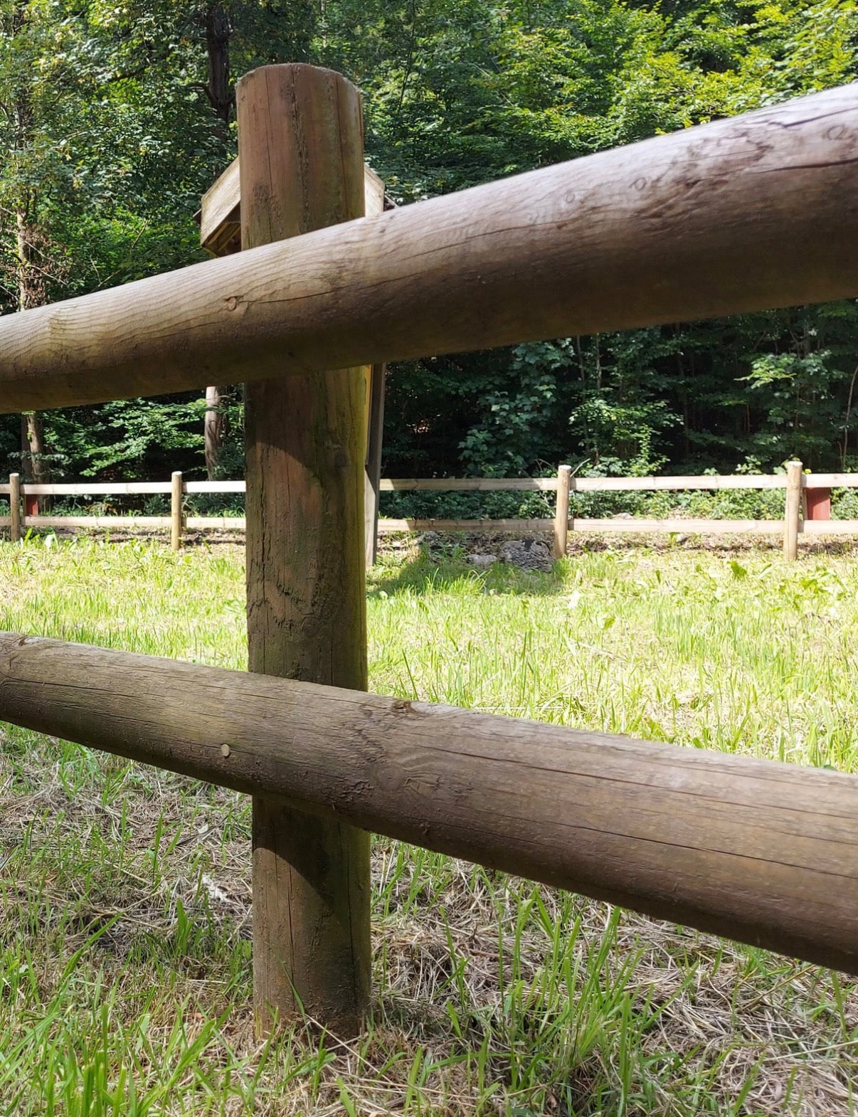 Half Rounded Post and Rail Fence Rail
