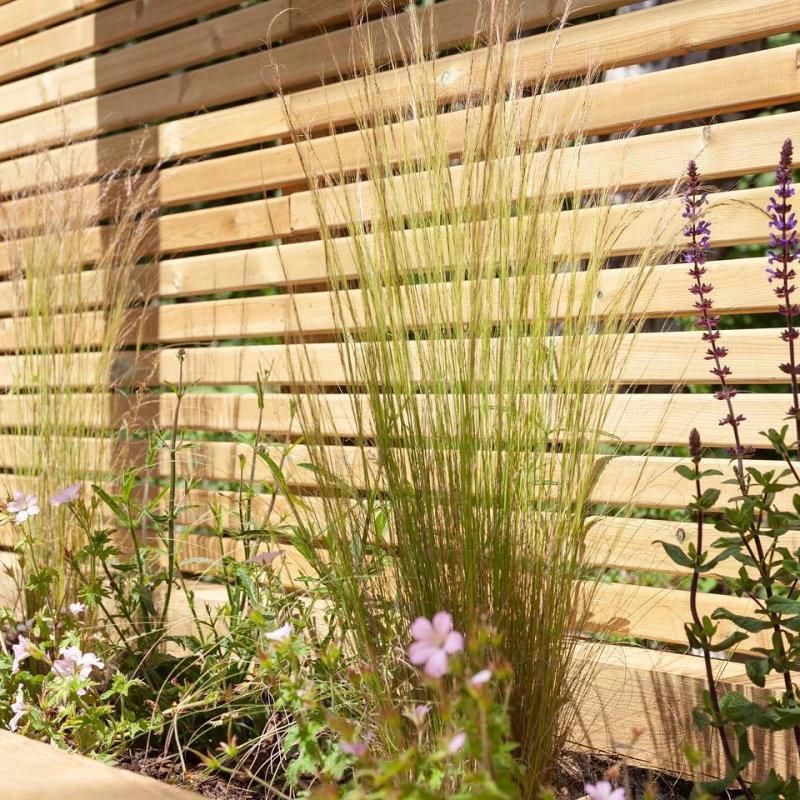 Contemporary Screening Fencing Timber Battens (PSE) - Decking Delivery