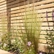 Contemporary Screening Fencing Timber Battens (PSE) - Decking Delivery