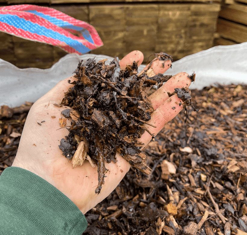 Exciting News - We have Partnered with a Local Tree Surgeon!