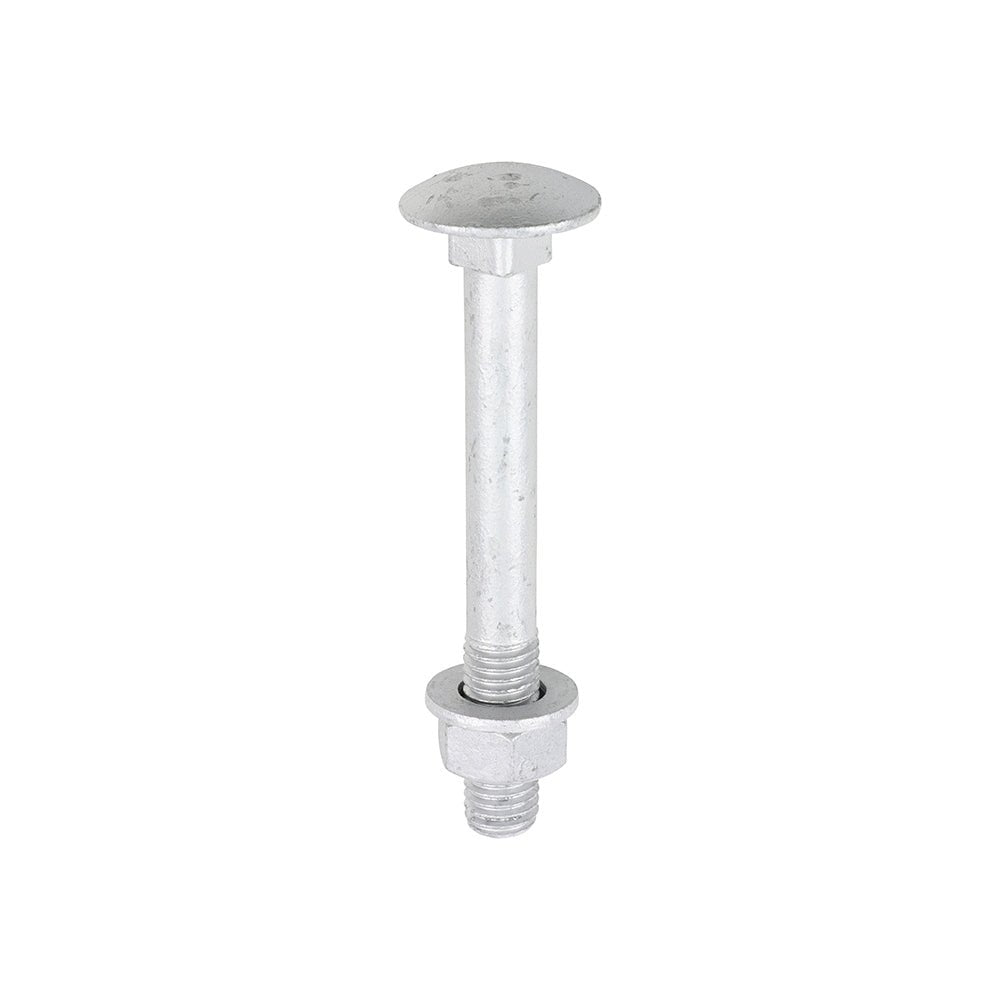 Carriage bolts - single - Decking Delivery