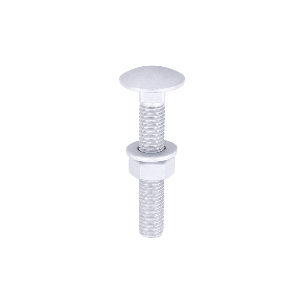Carriage bolts - single - Decking Delivery